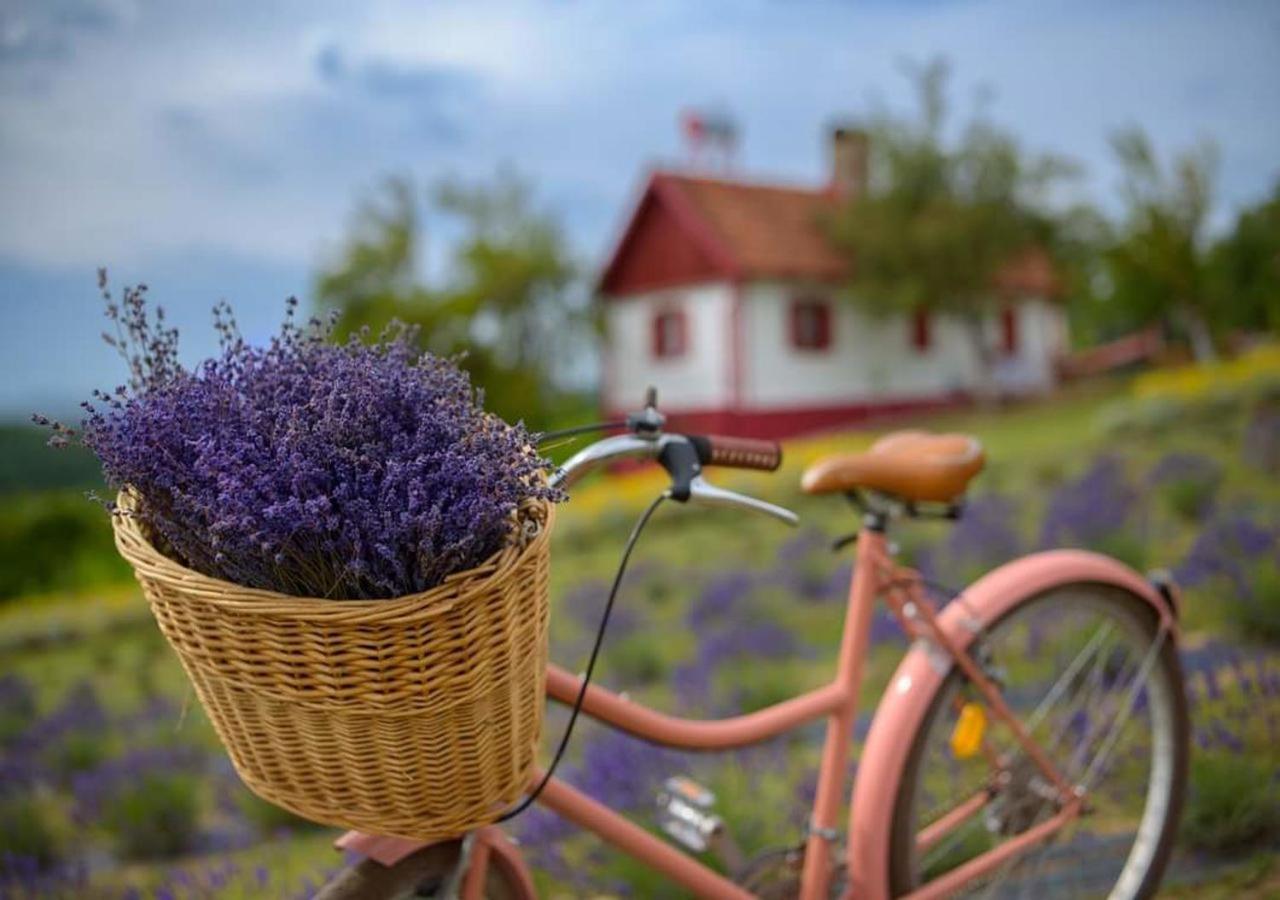 Lavanda Carasova Crasova Exterior photo